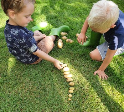 aardappelen